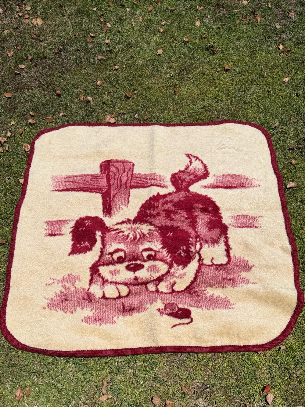 VTG San Marcos Playful Puppy & Mouse Plush Reversible Blanket Maroon Cream 41x42